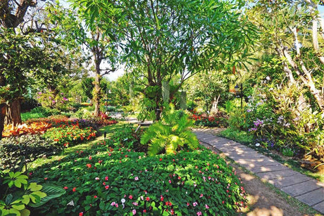 How to Create Your Own Food Forest: A Comprehensive Guide