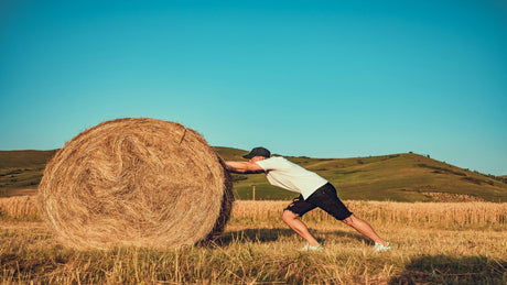Straw Bale Gardening: A Beginner's Guide