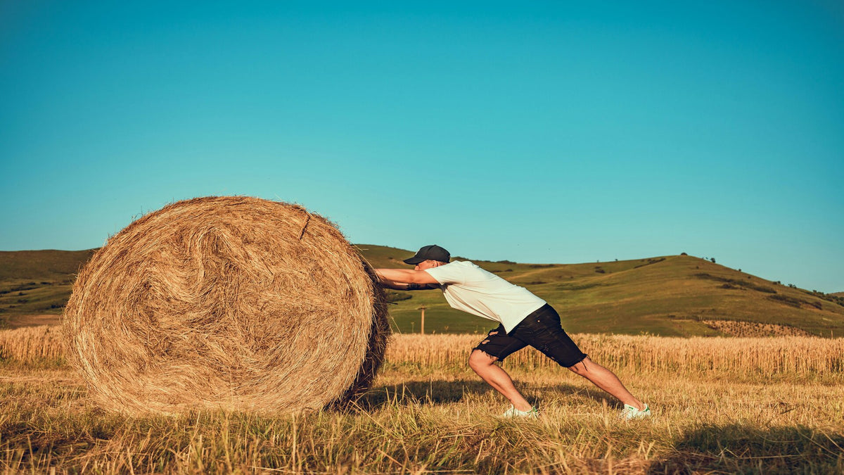 Straw Bale Gardening: A Beginner's Guide – Boldly Free American